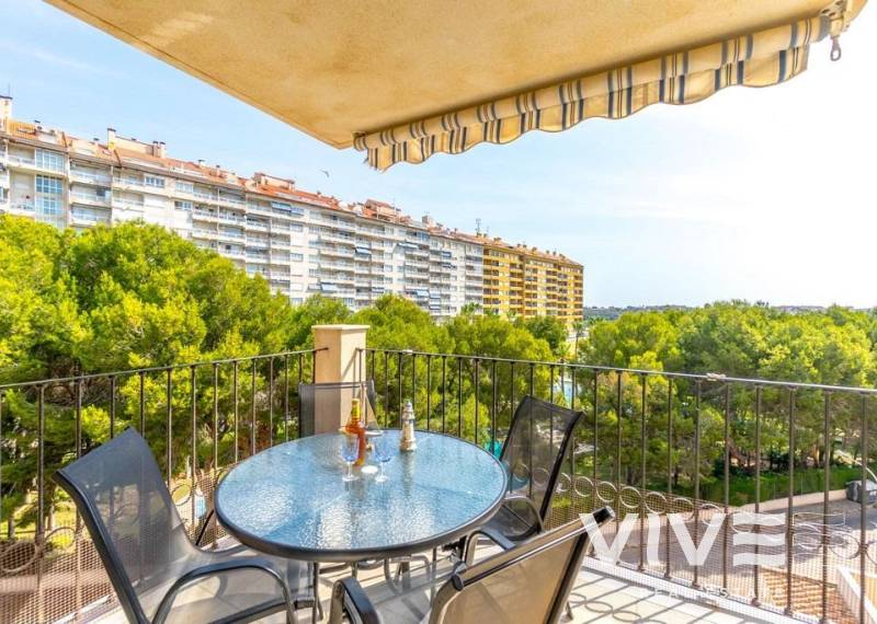 Apartamento - Segunda mano - Orihuela Costa - Campoamor