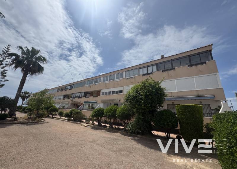 Apartamento - Segunda mano - Pilar De La Horadada - Mil Palmeras