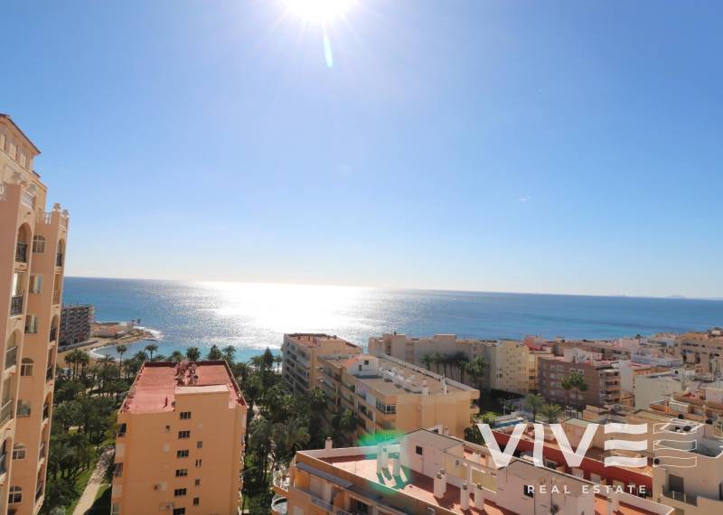 Apartamento - Segunda mano - Torrevieja - Torrevieja