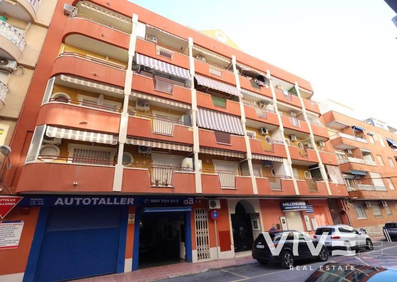 Apartamento - Segunda mano - Torrevieja - Torrevieja