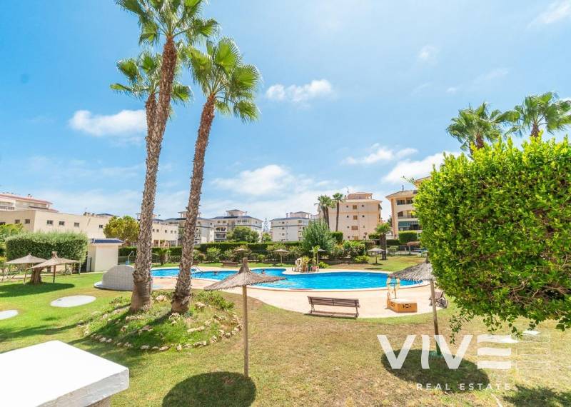 Apartment - Long time Rental - Torrevieja - La Mata