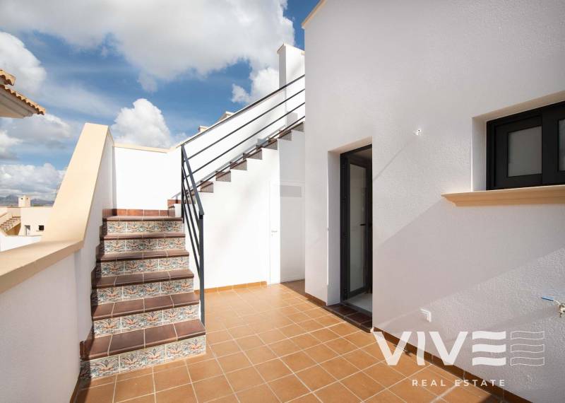 Apartment - Rynek pierwotny - Cox - 