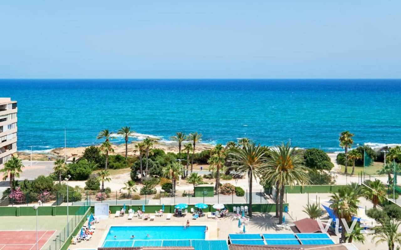 Apartment - Rynek wtórny - Torrevieja - TRAMPasacha 1 