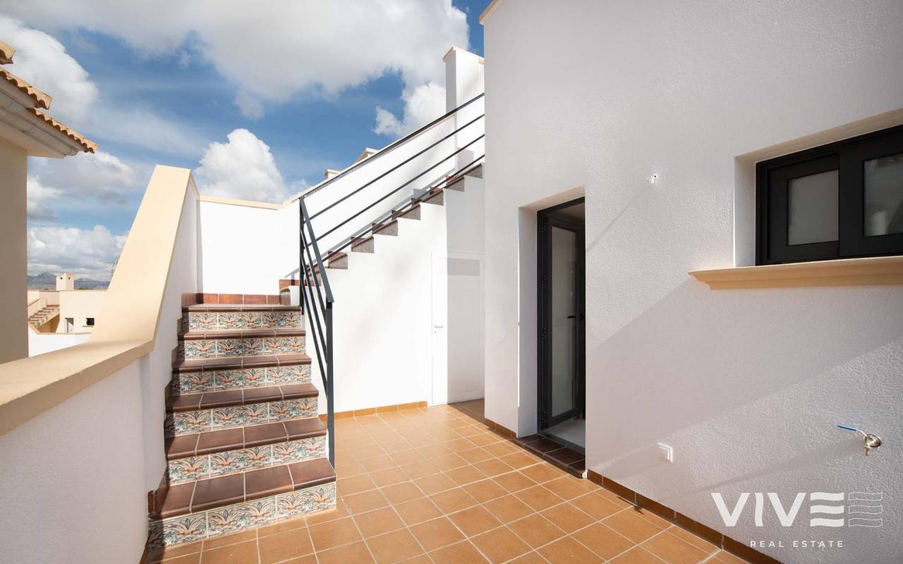 Apartment / Wohnung - Neubau - Cox - 35947