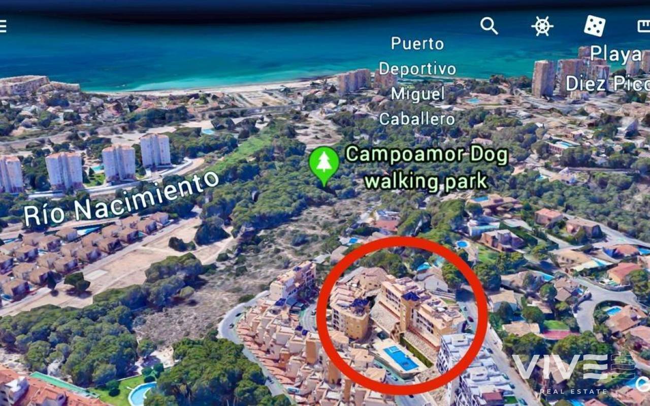 Business - Resale - Orihuela Costa - 34035