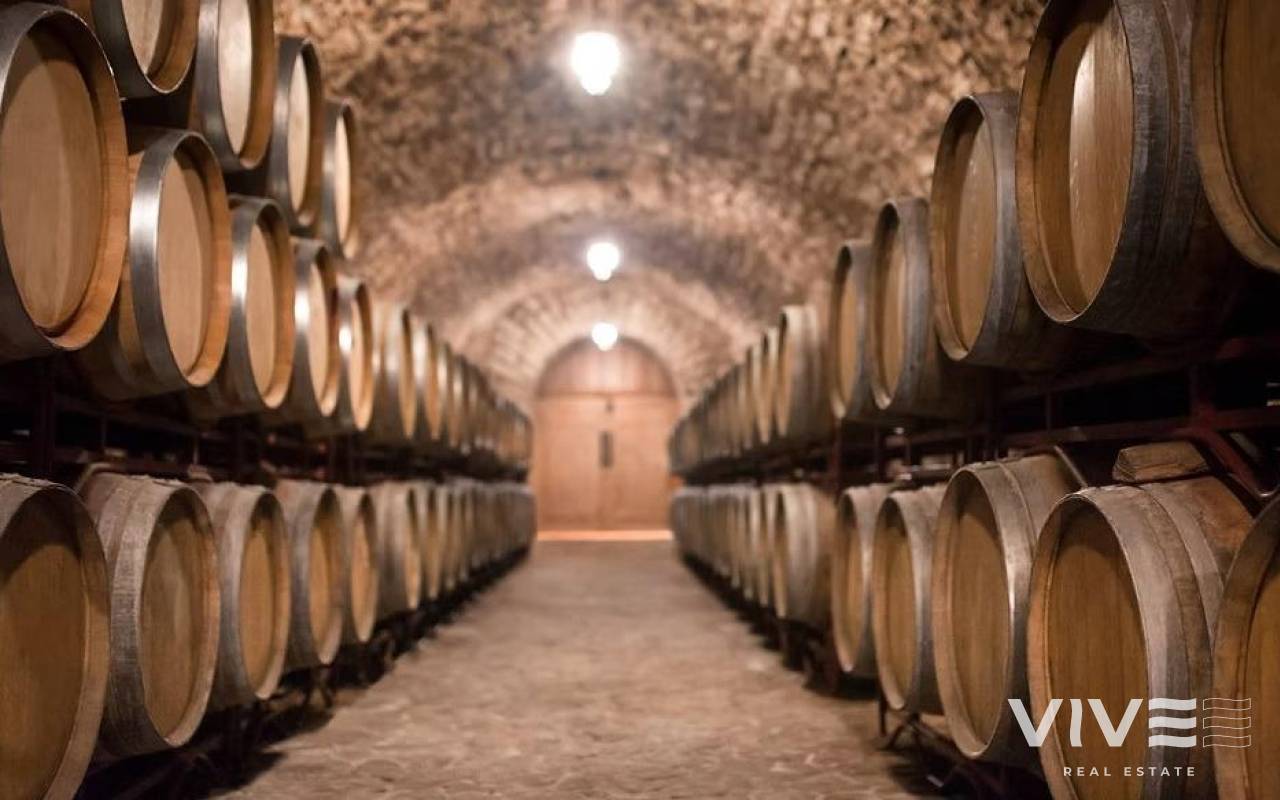 Cellar - Segunda mano - Albacete - 27761