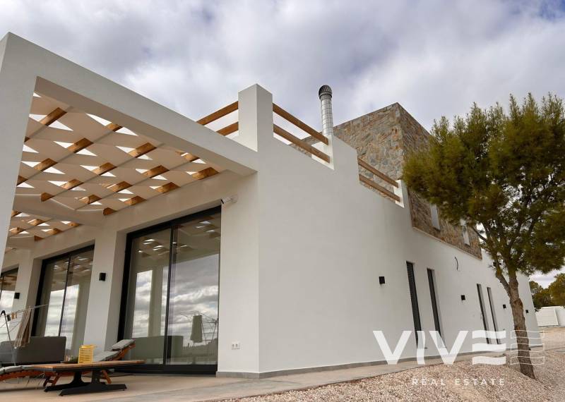Detached Villa - New Build - Pinoso - Casas Pastor