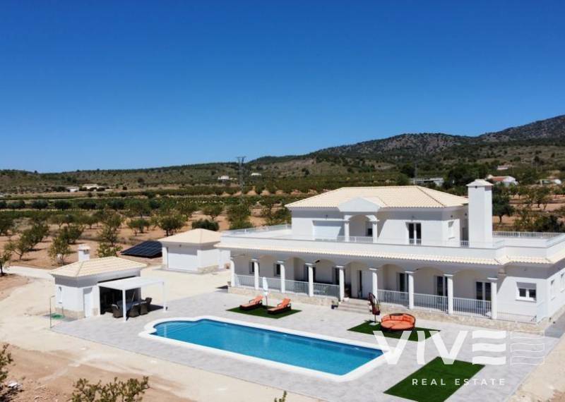 Detached Villa - Nueva construcción  - Pinoso - Camino Del Prado