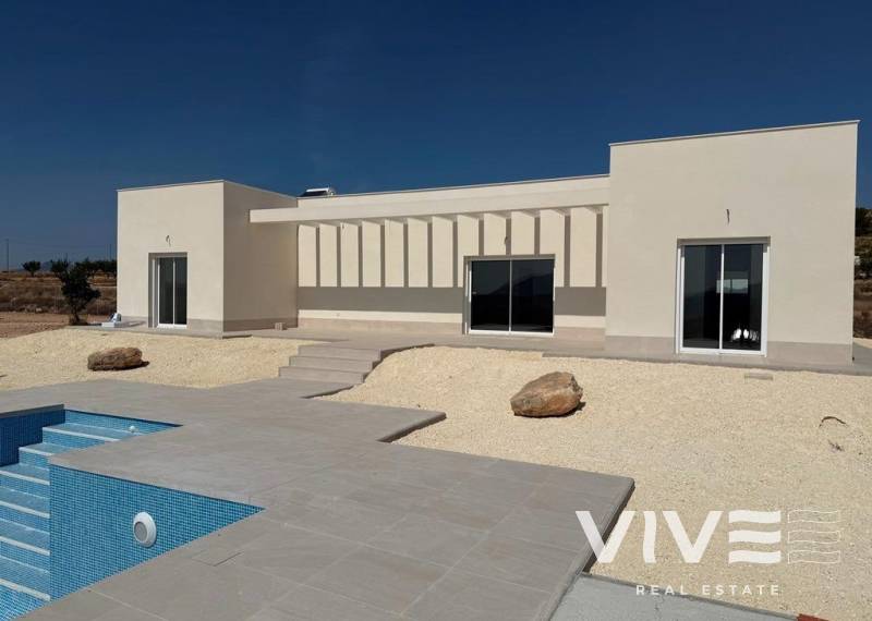 Detached Villa - Nyproduktion - Pinoso - Camino Del Prado