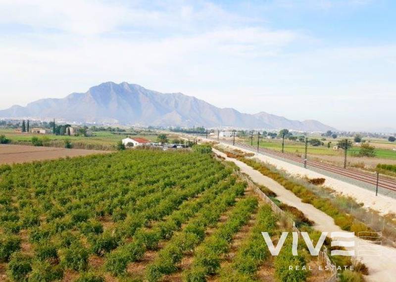 Finca - Resale - Callosa De Segura - Callosa De Segura