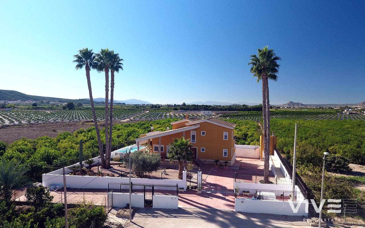 Finca - Resale - Orihuela Costa - DOLP-61906
