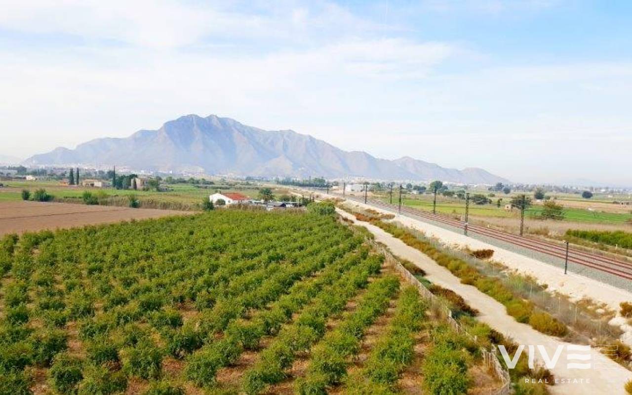 Finca - Segunda mano - Callosa De Segura - SM-27421