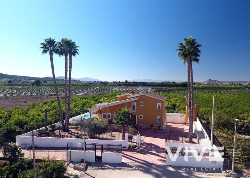 Finca - Verkauf - Orihuela Costa - Orihuela