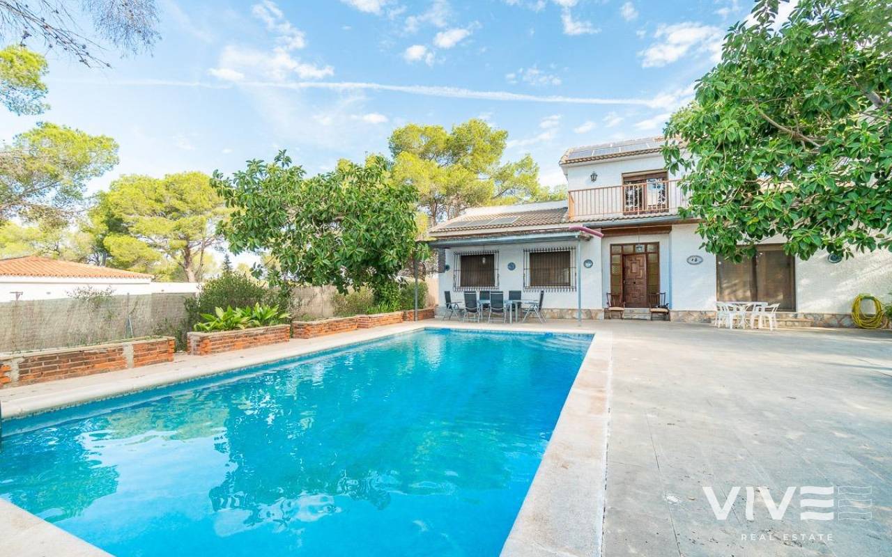 house - Segunda mano - Pilar de la Horadada - PF-43338