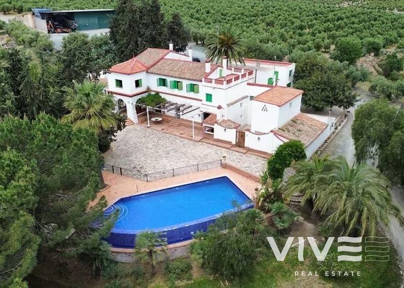 Parcela/Terreno - Segunda mano - Murcia - Rincón de Seca