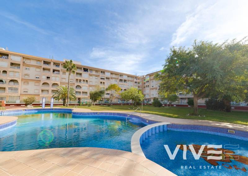 Penthouse - Rynek wtórny - Torrevieja - Parque las naciones