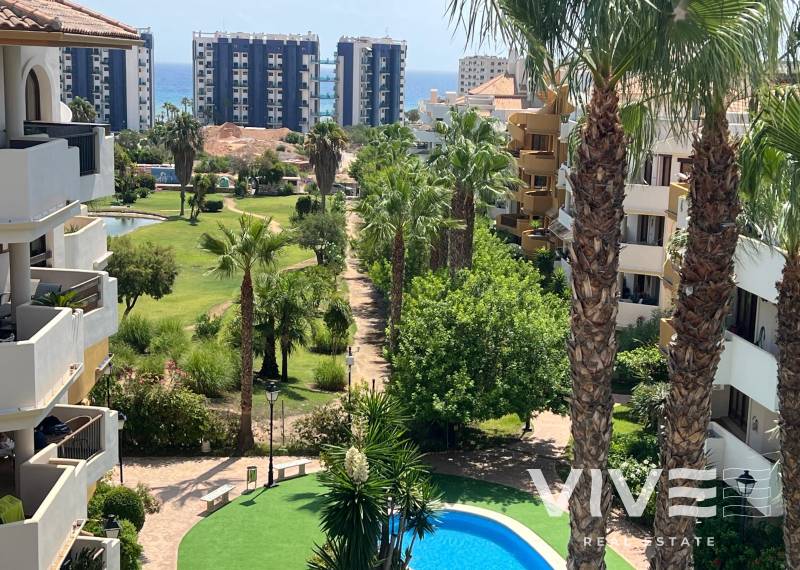 Penthouse - Rynek wtórny - Torrevieja - Punta prima