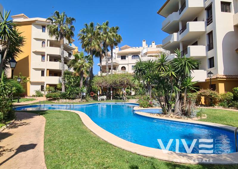 Penthouse - Segunda mano - Torrevieja - Punta prima