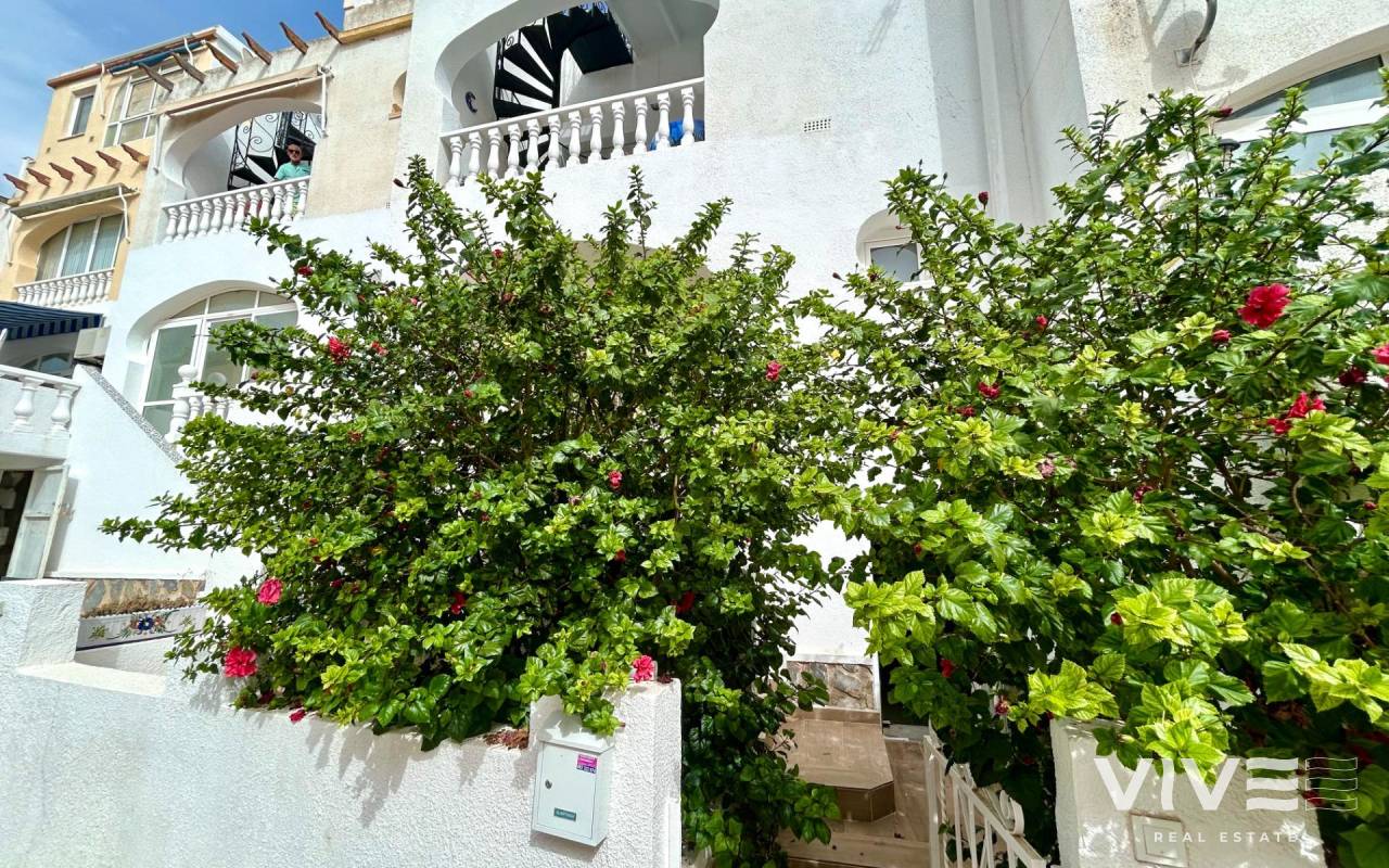 Wohnung - Verkauf - San Miguel de Salinas - 62585