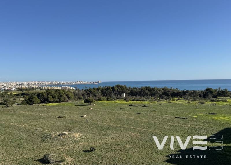 Wohnung - Verkauf - Torrevieja - Punta Prima