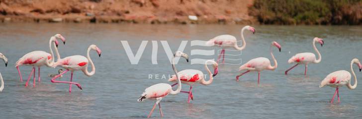 Property for sale in San Pedro del Pinatar Spain, the best way to enjoy leisure and nature