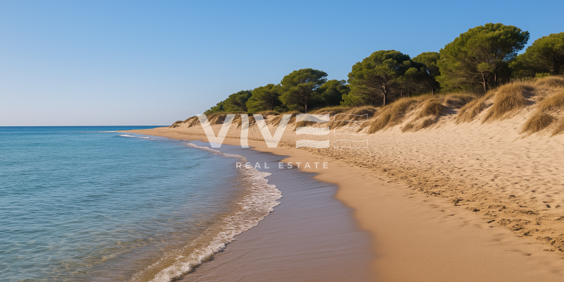 San Fulgencio – The Best-Kept Secret Between the Sea and Golf Courses San Fulgencio – The Best-Kept Secret Between the Sea and Golf Courses