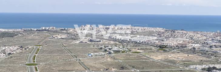 Nowe nazwy ulic w La Hoya, Torrevieja: hołd dla lokalnych osobistości