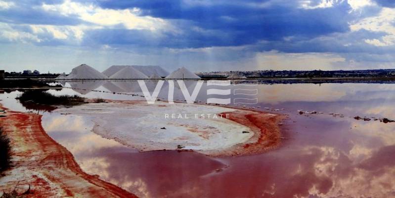 La Laguna de La Mata: naturaleza, salud y estilo de vida en Torrevieja
