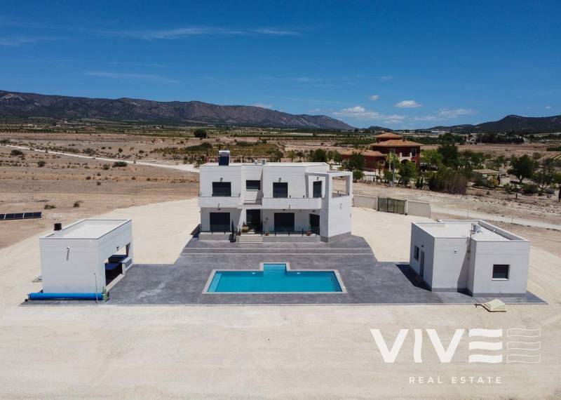 Villa - Nueva construcción  - Pinoso - Camino Del Prado