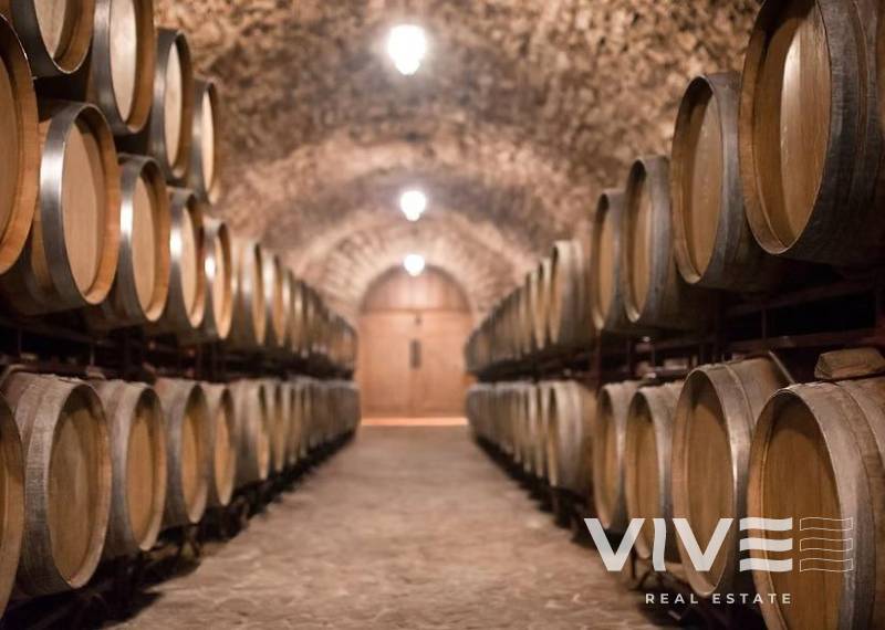 Cellar - Resale - Albacete - Albacete