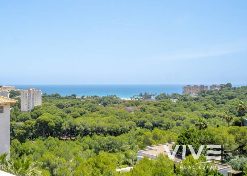 Apartment - Resale - Orihuela Costa - Dehesa De Campoamor