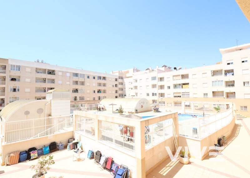 Apartment - Resale - Torrevieja - Torrevieja